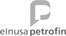 Elnusa Petrofin